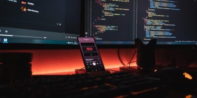 Software development